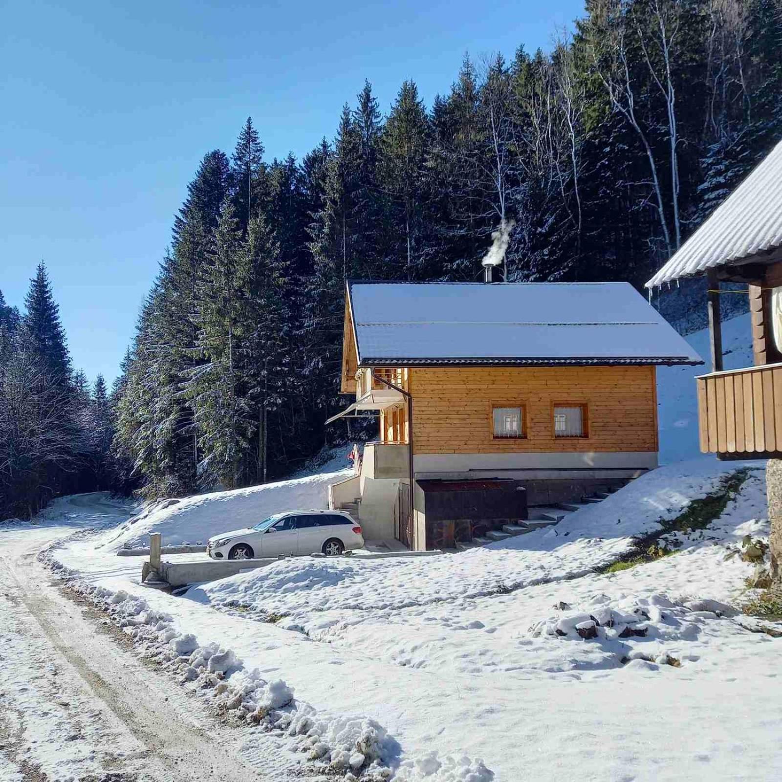 Hisa Lunna - Apartments In A Forest Paradise Vitanje Extérieur photo
