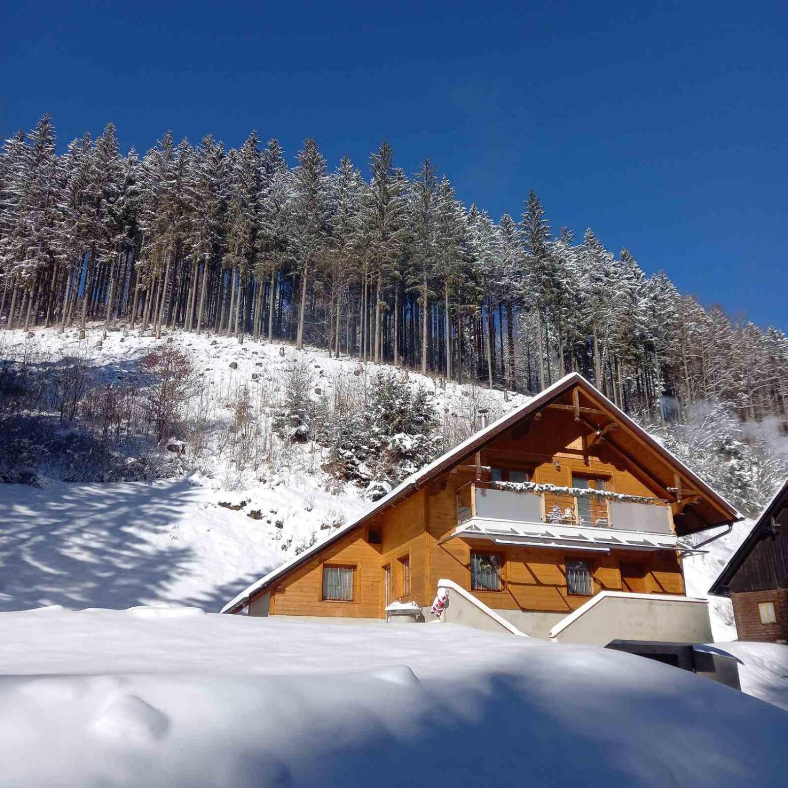 Hisa Lunna - Apartments In A Forest Paradise Vitanje Extérieur photo
